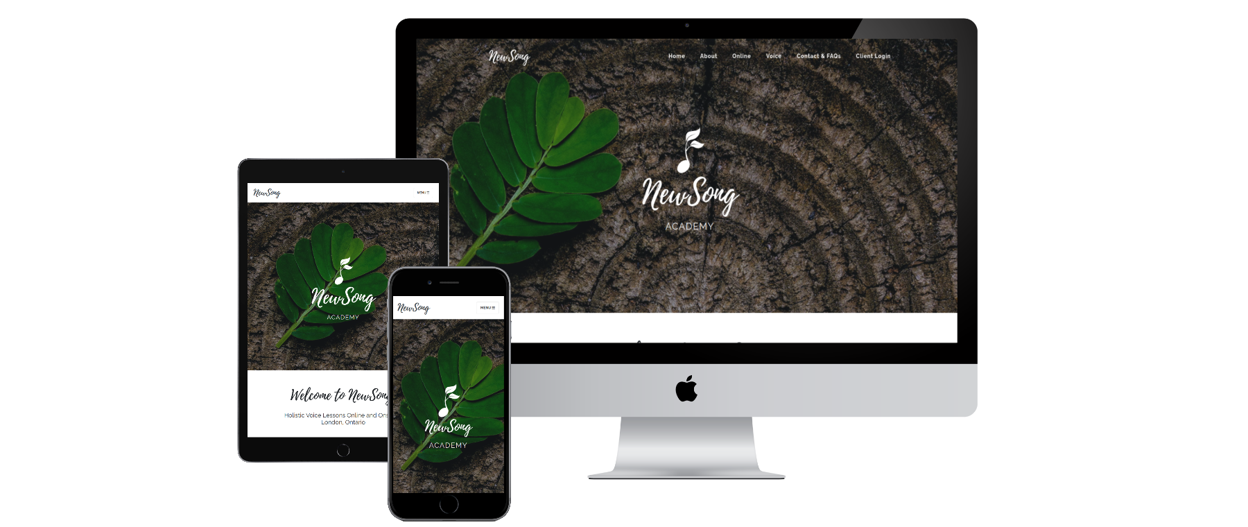 NewSong Academy website preview