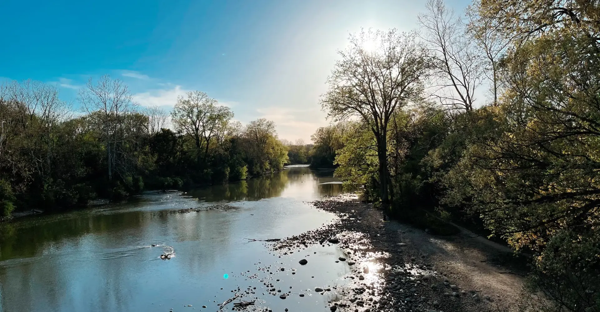 5 Web Design Trends London, Ontario Businesses Should Embrace in 2025